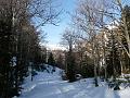 fourcat_gerard 002